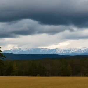 A rainy landscape in Upstate South Carolina with dark clouds and trees swaying in the wind.