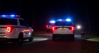 Escapee Emanuel Planco Arrested After Vehicle Break-Ins in Columbia