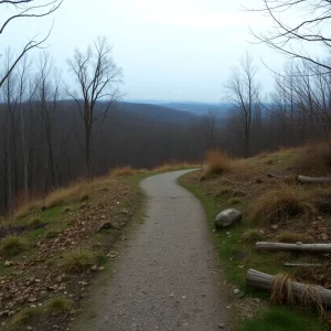 A quiet hiking trail in Maryland symbolizing community loss