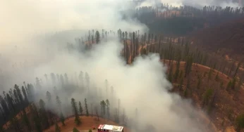 Carolina Forest Wildfire Nears Full Containment
