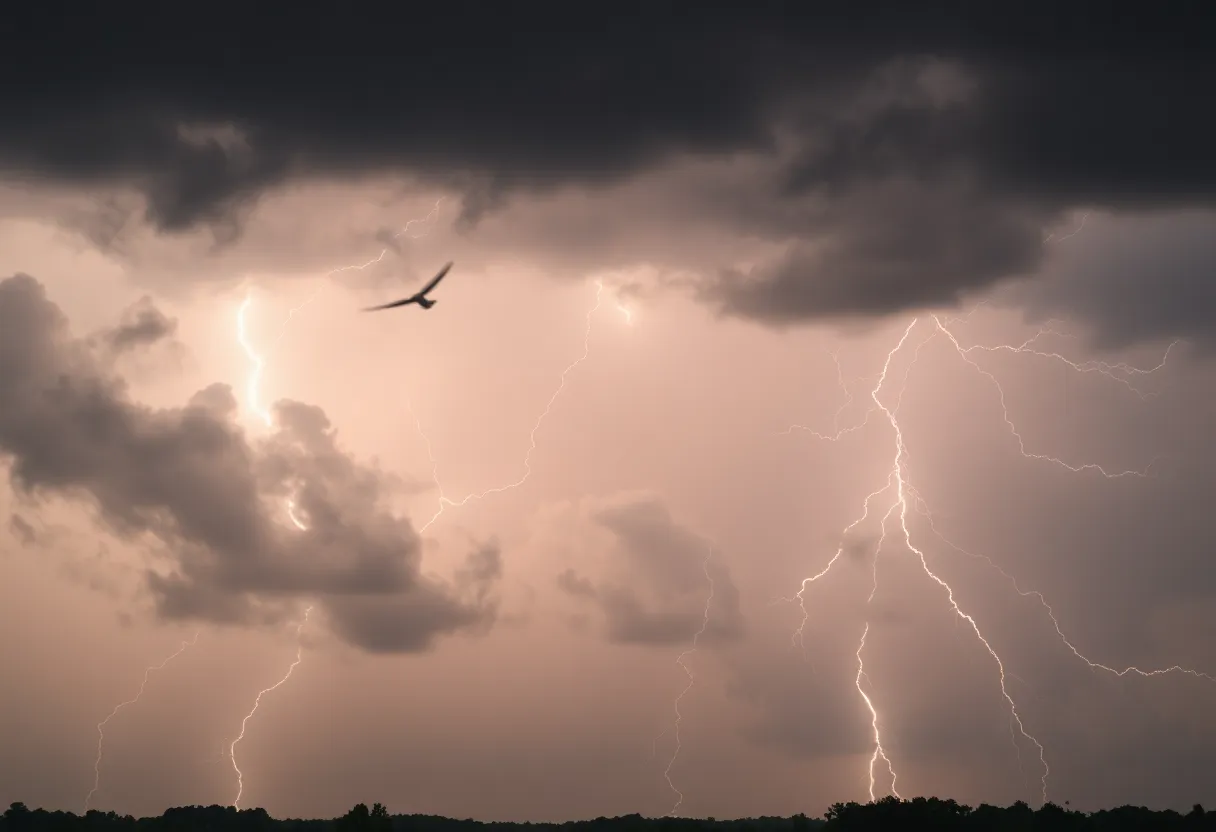 Dark storm clouds with lightning over South Carolina