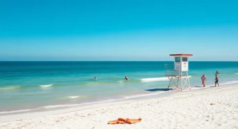 Concern Rises Over Shark Bites in South Carolina