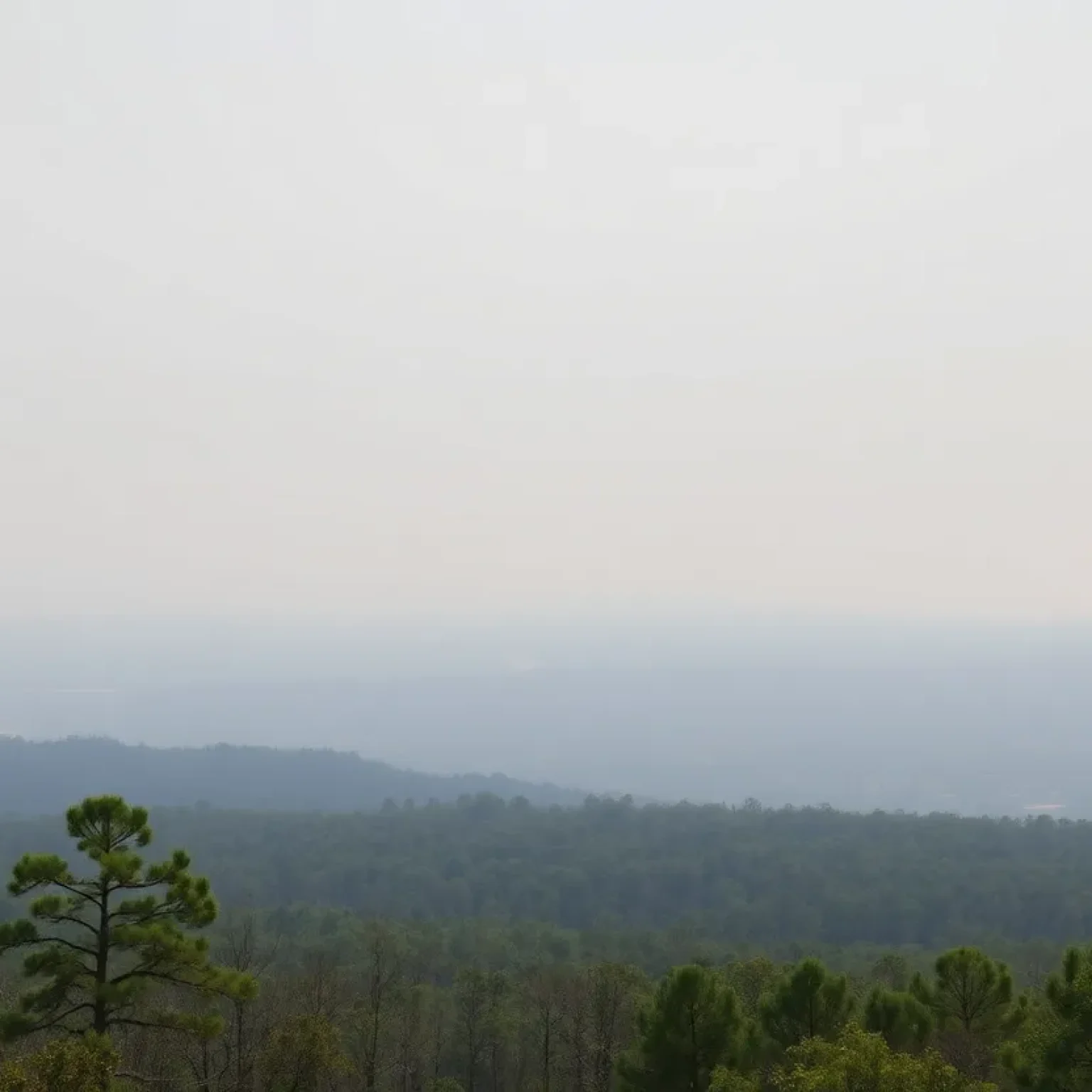 Smoke-filled landscape in South Carolina due to wildfires
