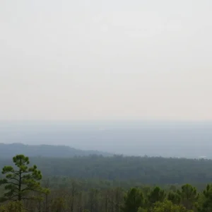 Smoke-filled landscape in South Carolina due to wildfires