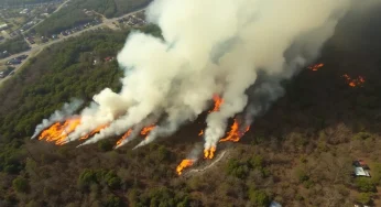 South Carolina Battles Widespread Wildfires Amid Emergency