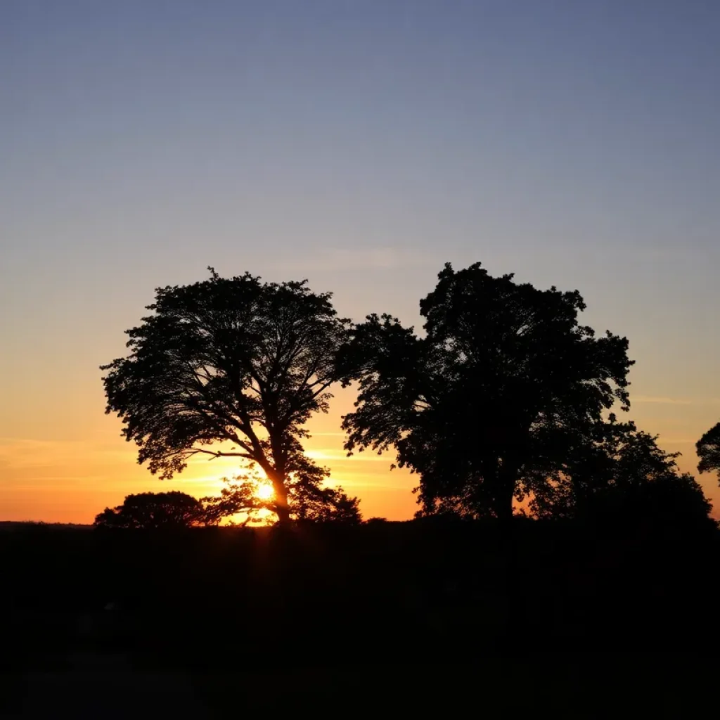 A tranquil sunset representing memories of a cherished individual.