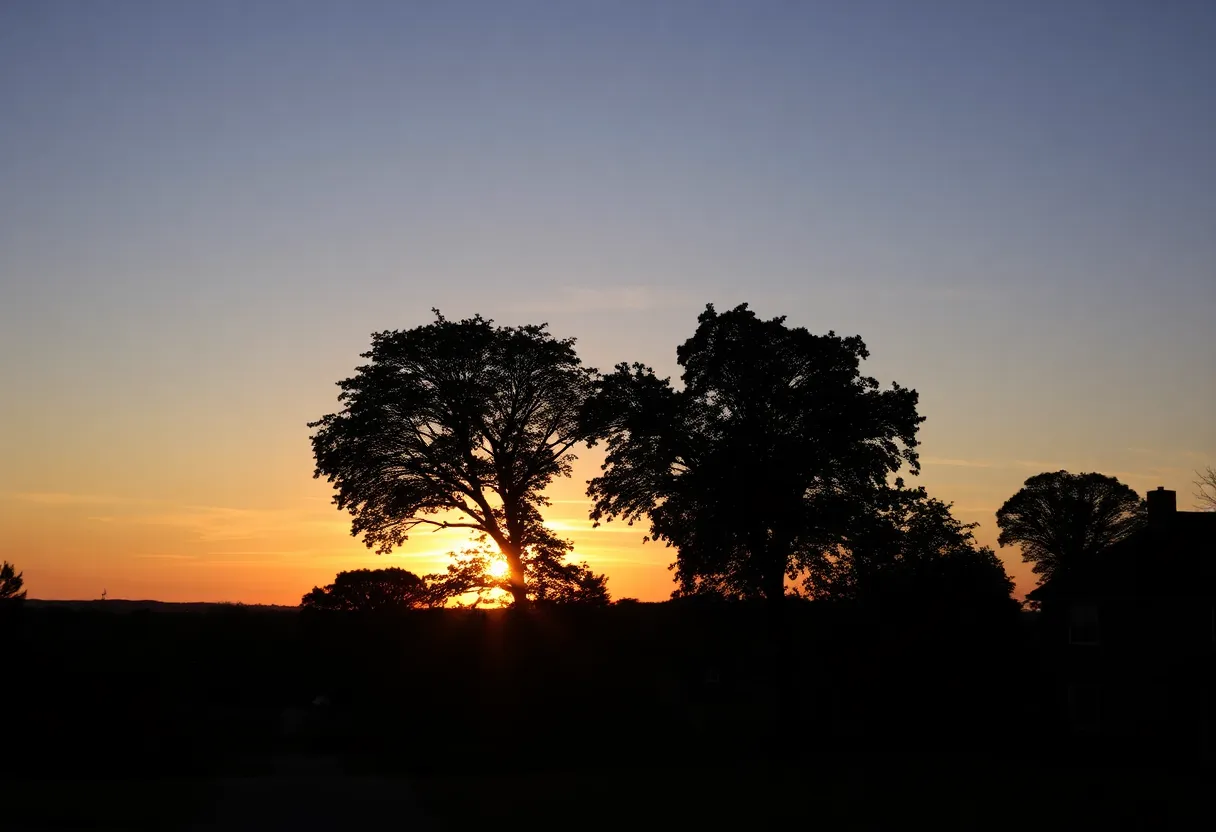 A tranquil sunset representing memories of a cherished individual.