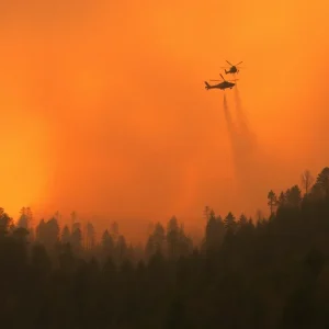 Firefighting personnel battling wildfires in South Carolina