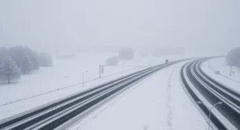 South Carolina Declares State of Emergency Due to Winter Storm