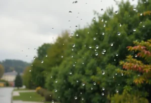 A rainy day in Greenwood, South Carolina with overcast skies