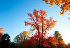 Clear skies and autumn foliage in Greenwood SC
