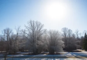 Clear and cool winter morning in Greenwood, South Carolina