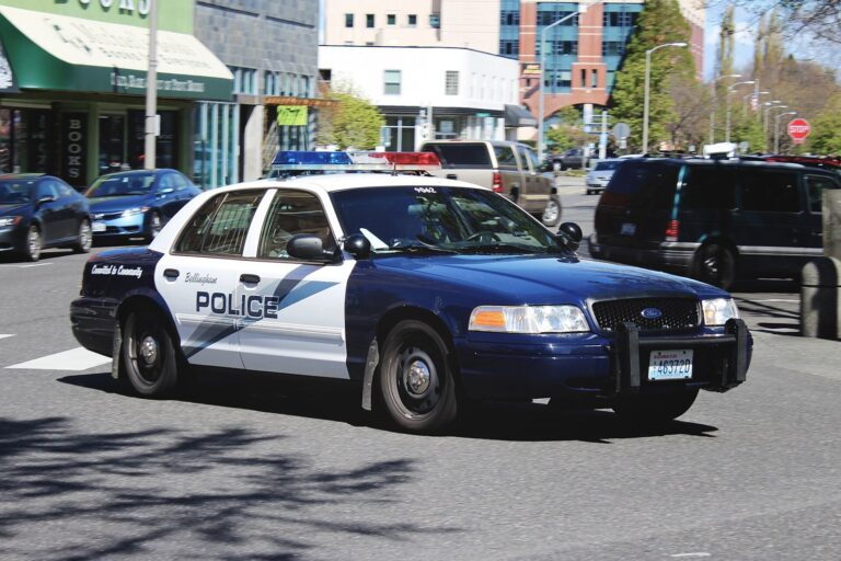 Greenwood Police Units Split Up Wrecks, Animal Calls and Warrants