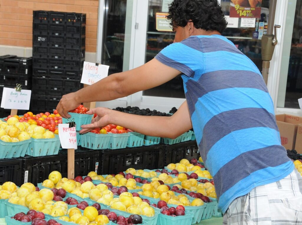 Greenwood Farmers Market Festival Raises Money for Feral Cats